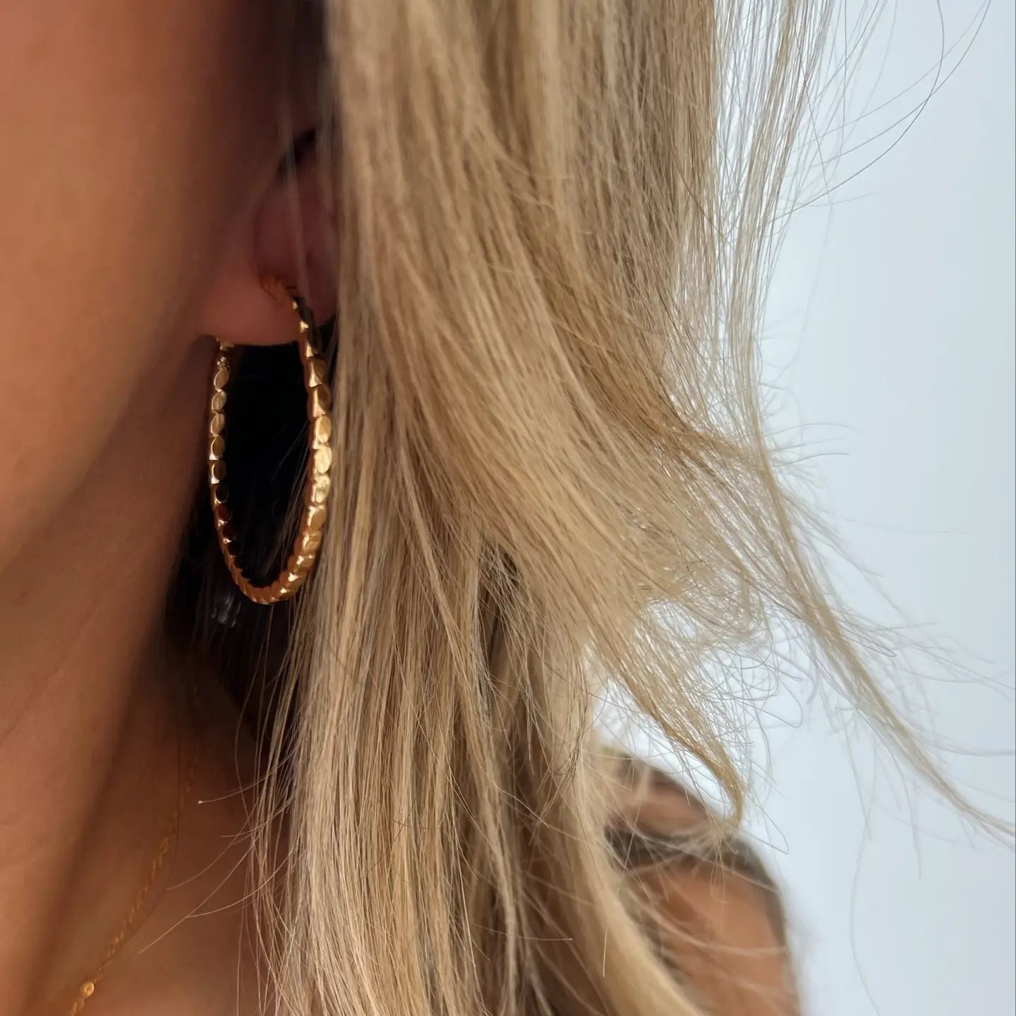 Goldie Hoops Earrings Gold Filled
